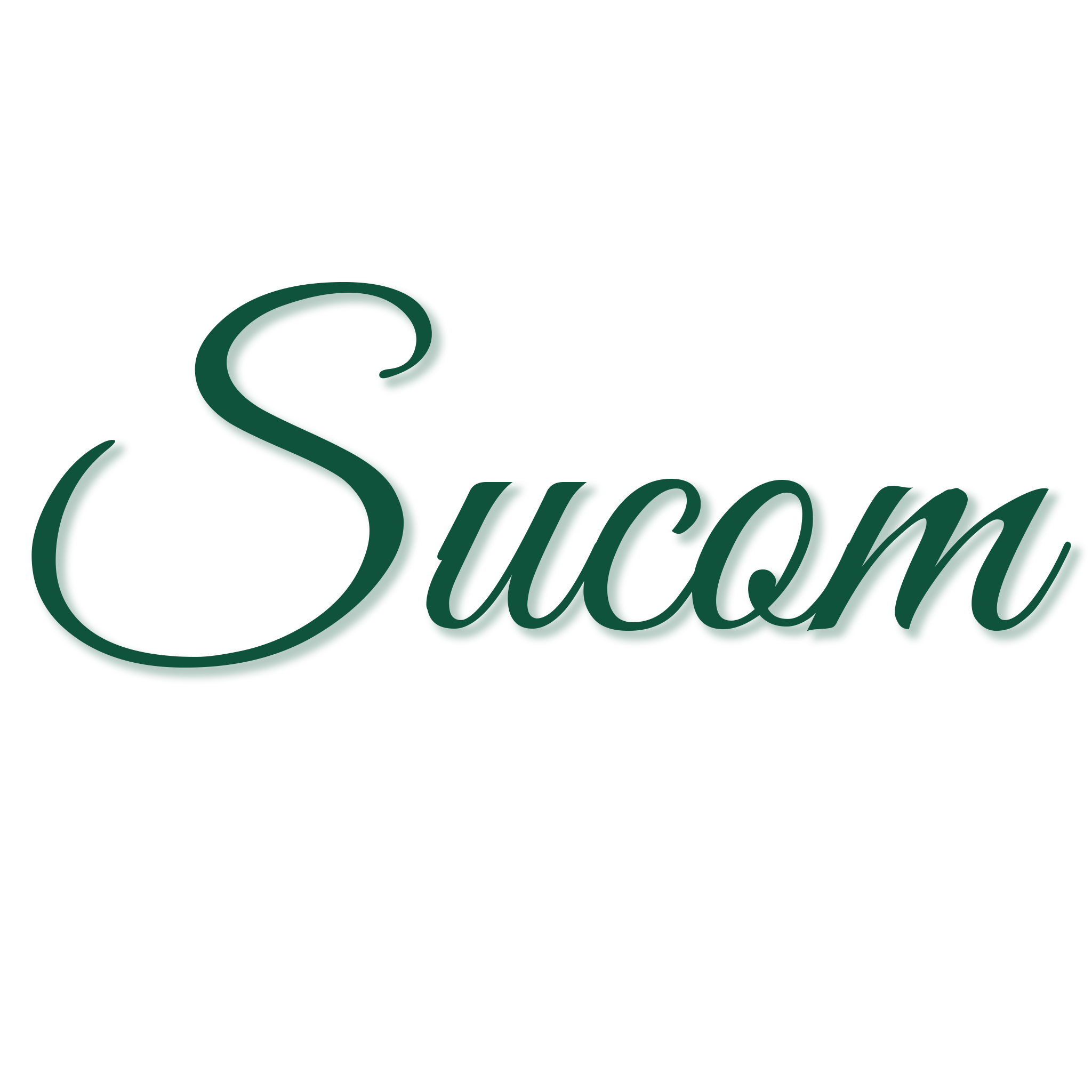 Sucom sucom-text-logo | WPSSO